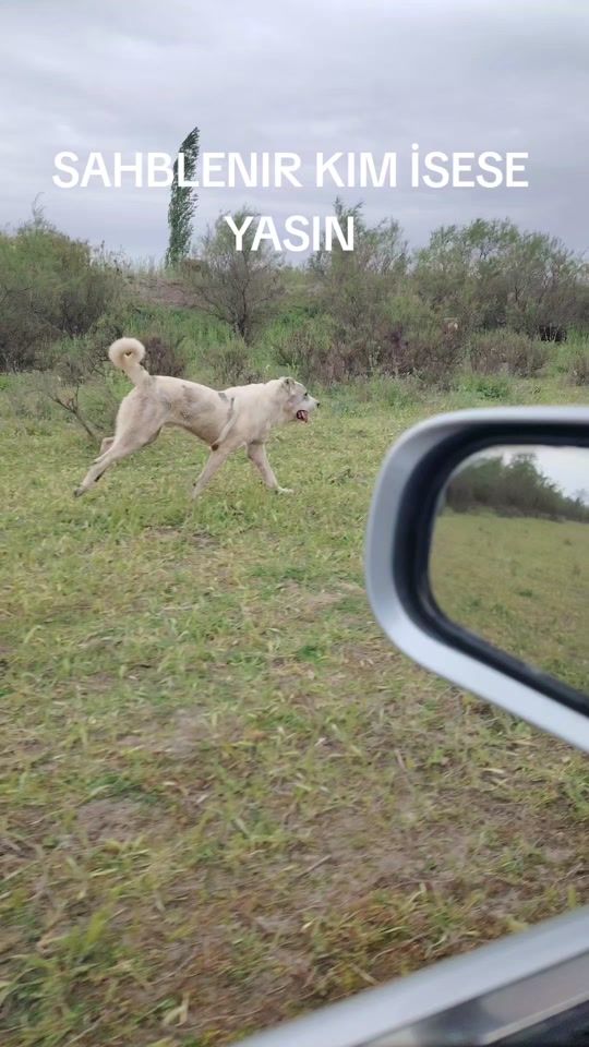 TikTok video thumbnail by terlantagiye