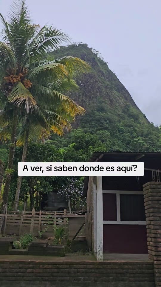 TikTok video thumbnail by wiltonrivas41