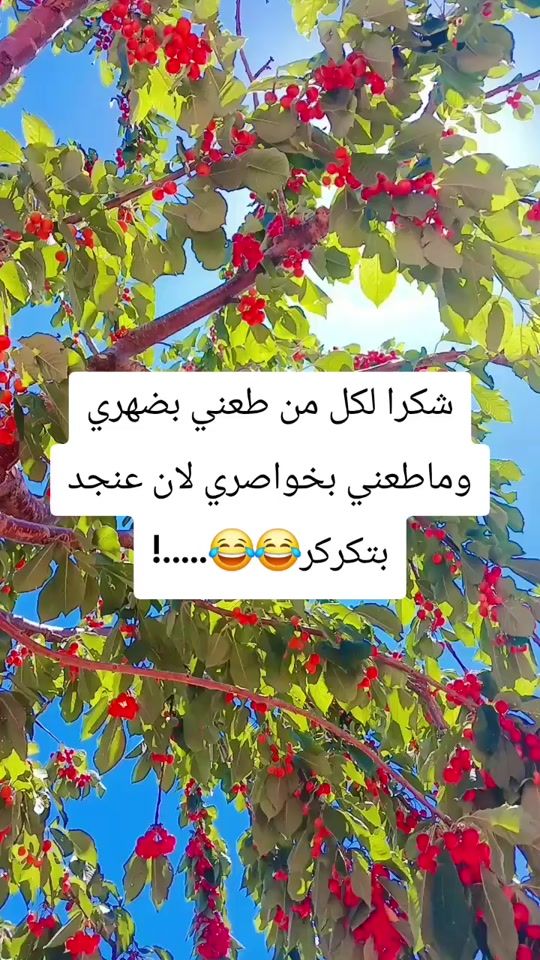 TikTok video thumbnail by 2002hm515