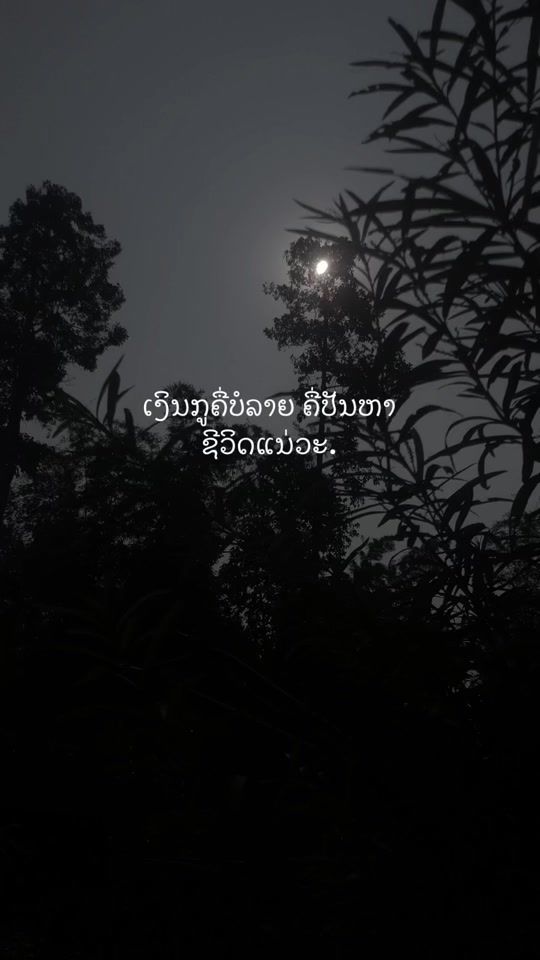 TikTok video thumbnail by bee00_7