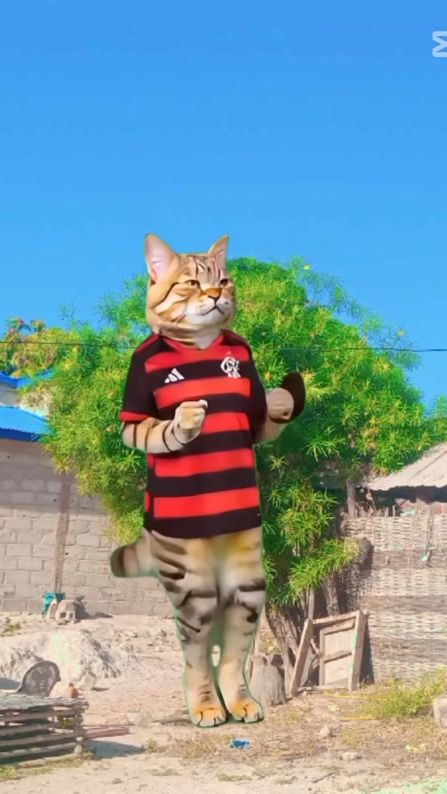 TikTok video thumbnail by toubako