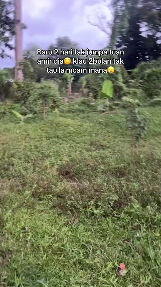 TikTok video thumbnail by abeyyad