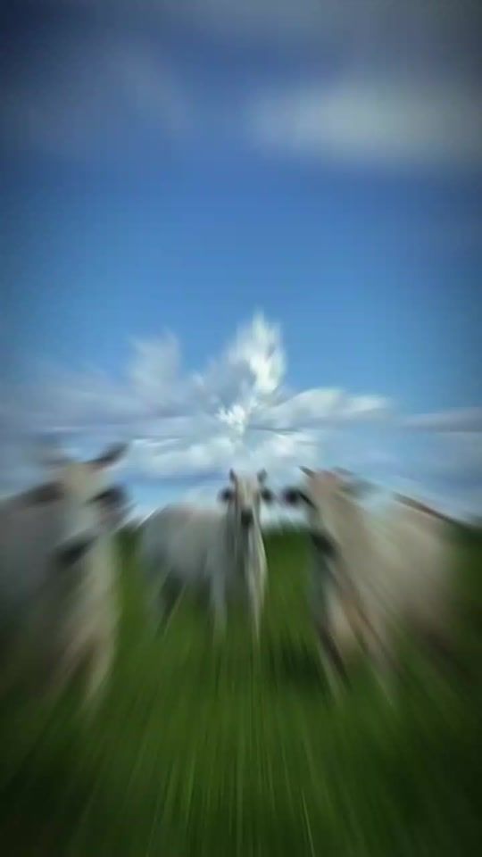 TikTok video thumbnail by isaak636