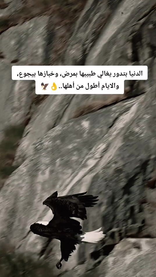 TikTok video thumbnail by ._al.d.h.i.y.b
