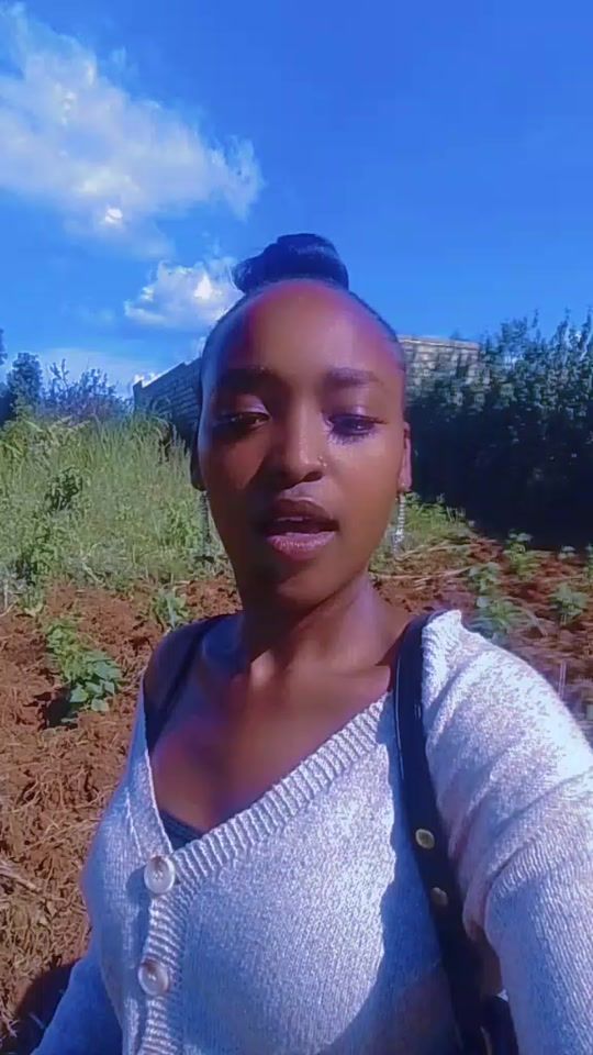 TikTok video thumbnail by ladybee132