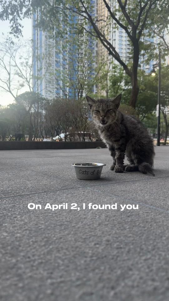 TikTok video thumbnail by chelseavlim