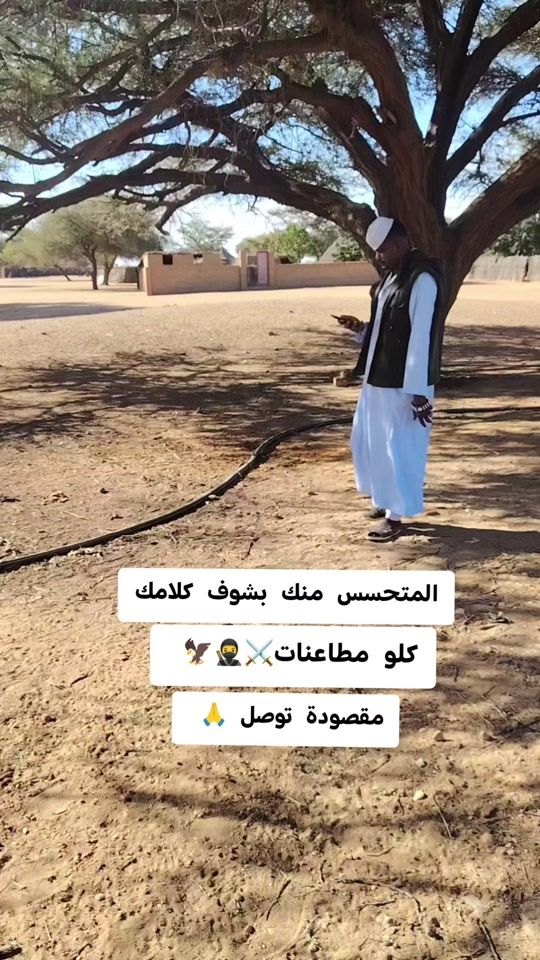 TikTok video thumbnail by abdelsamie42
