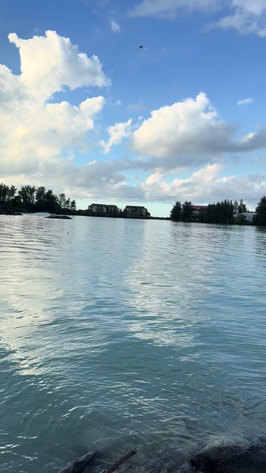 TikTok video thumbnail by user2211436459553