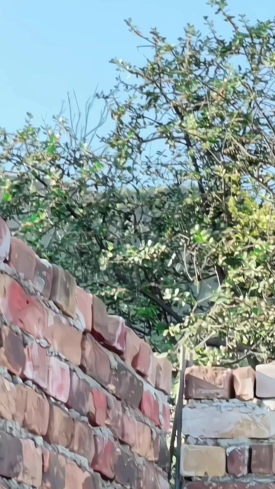 TikTok video thumbnail by usman__khyally
