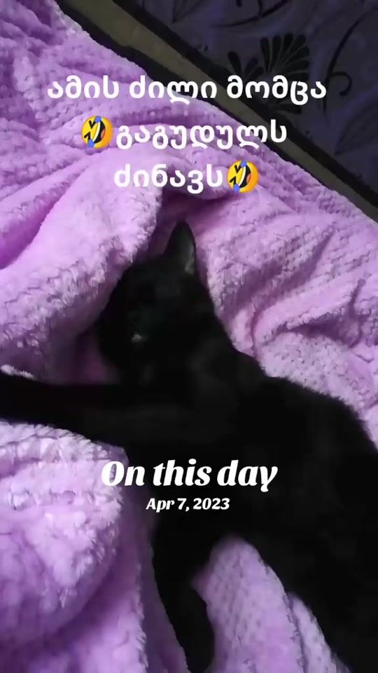 TikTok video thumbnail by natiagamgebeli