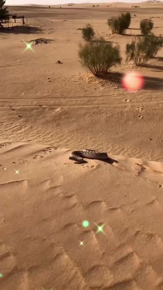 TikTok video thumbnail by abosami433