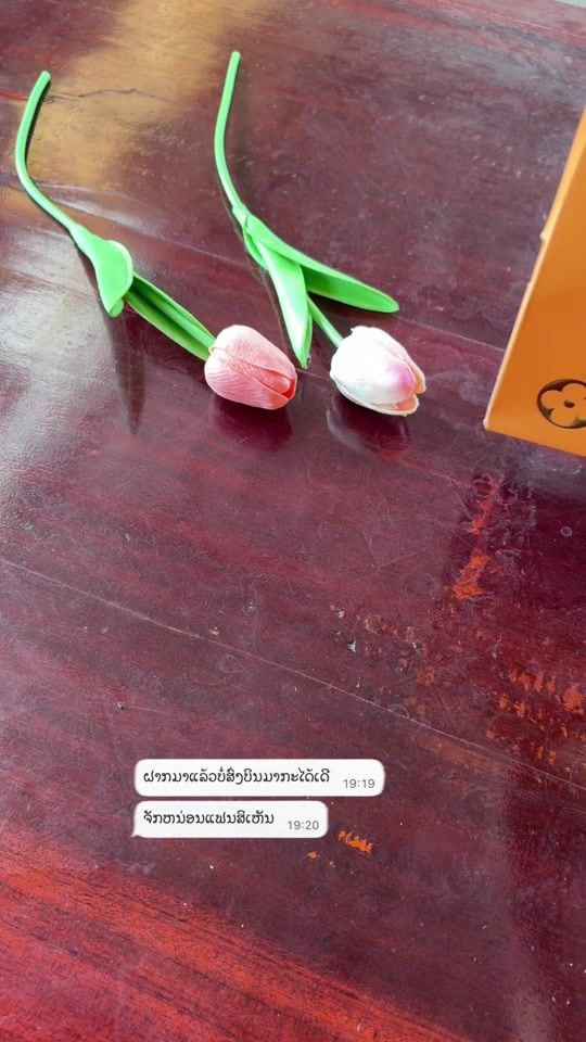 TikTok video thumbnail by 23twothree_fh