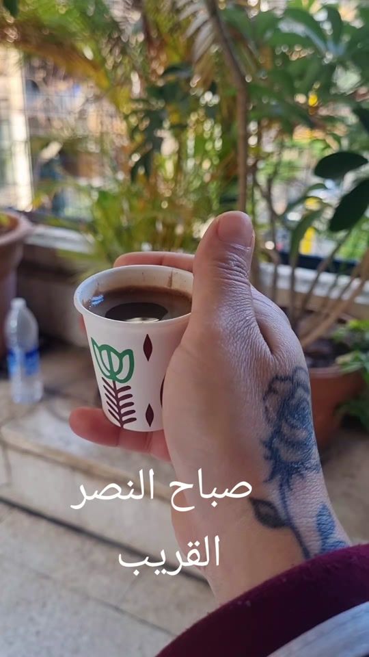 TikTok video thumbnail by aliarkein1