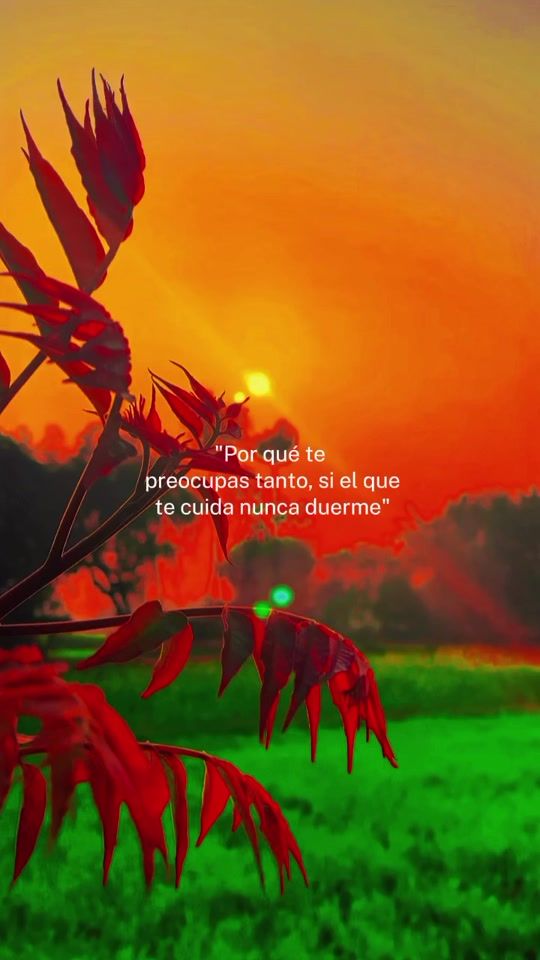 TikTok video thumbnail by zequitagutierrez1522