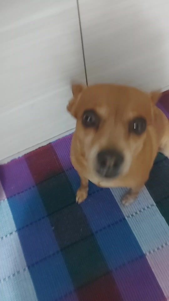 TikTok video thumbnail by douglas3marias