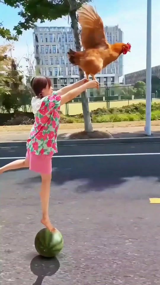 TikTok video thumbnail by catstv.channel