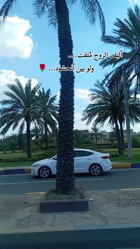 TikTok video thumbnail by aarrhh36