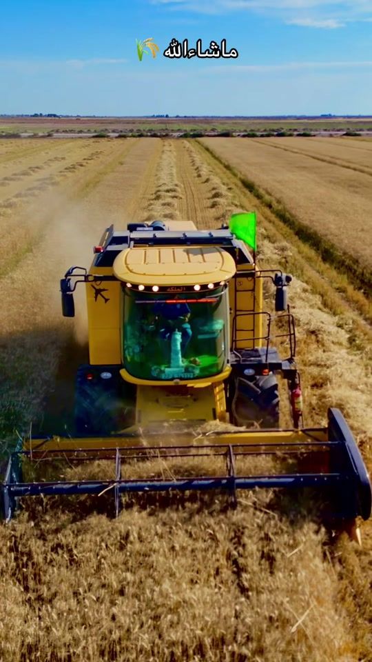 TikTok video thumbnail by mortada.saltan