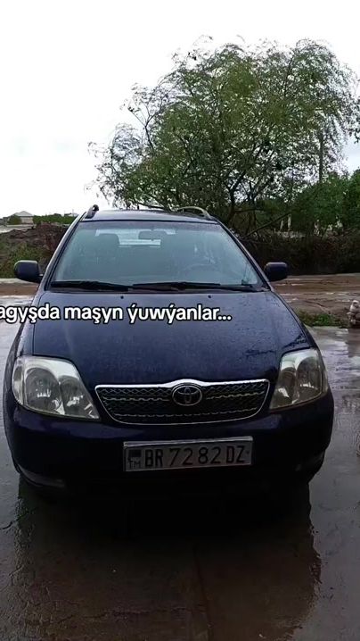TikTok video thumbnail by annabayev85