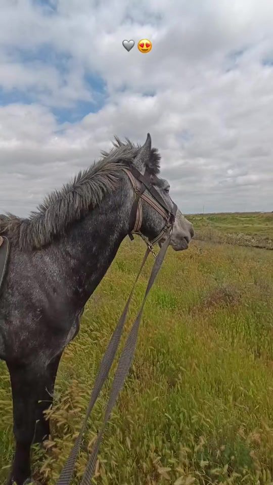 TikTok video thumbnail by elsun_779