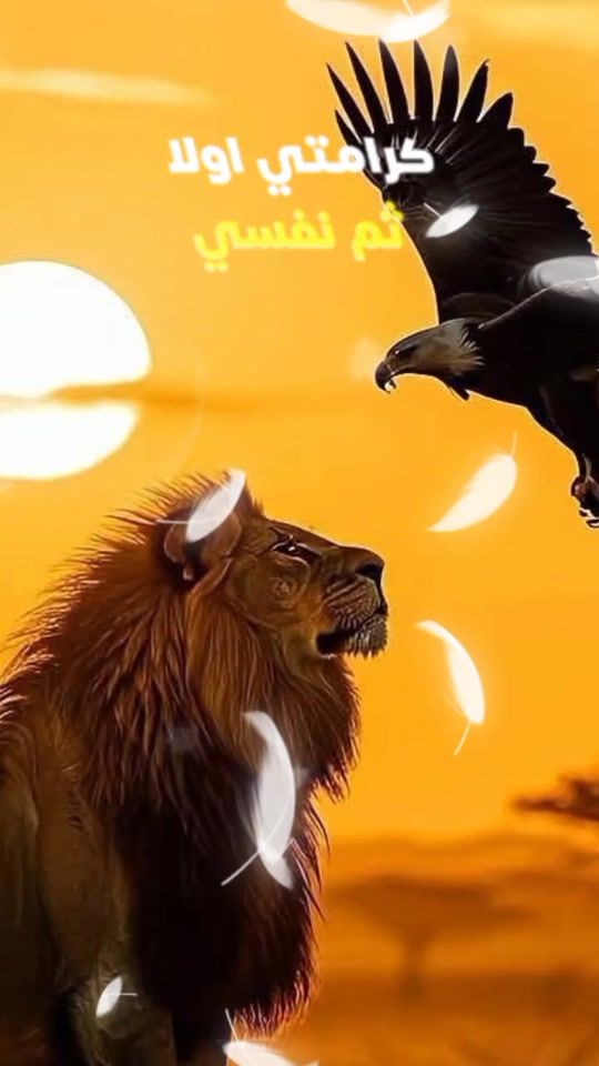 TikTok video thumbnail by mohamed_capcat