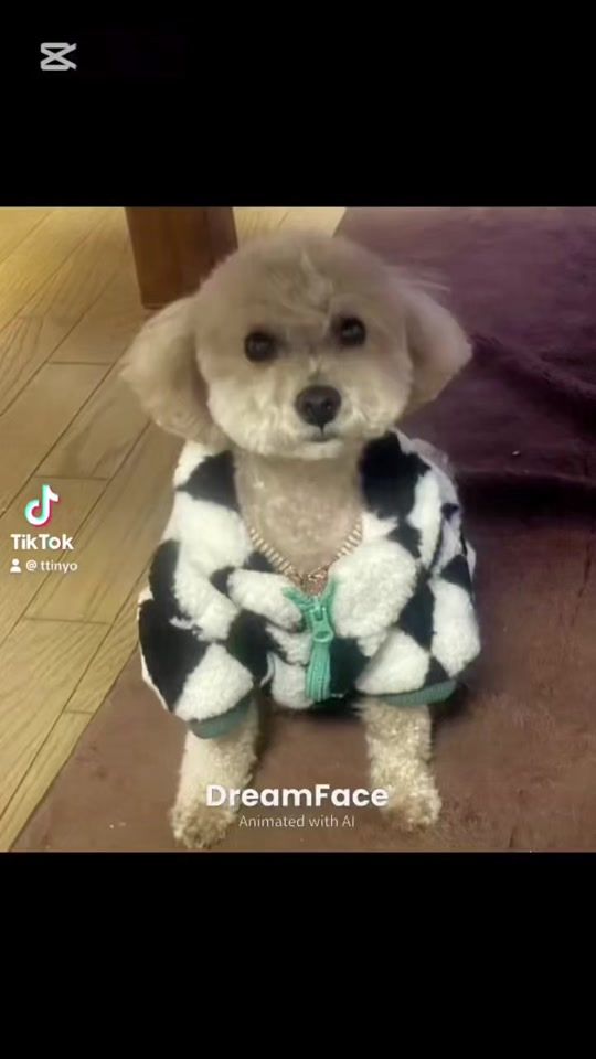 TikTok video thumbnail by yottin001