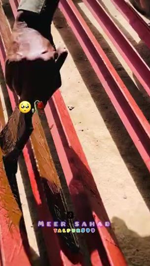 TikTok video thumbnail by talpur599
