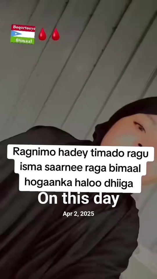 TikTok video thumbnail by mssbimaaley