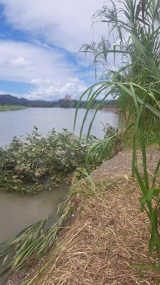 TikTok video thumbnail by umagra