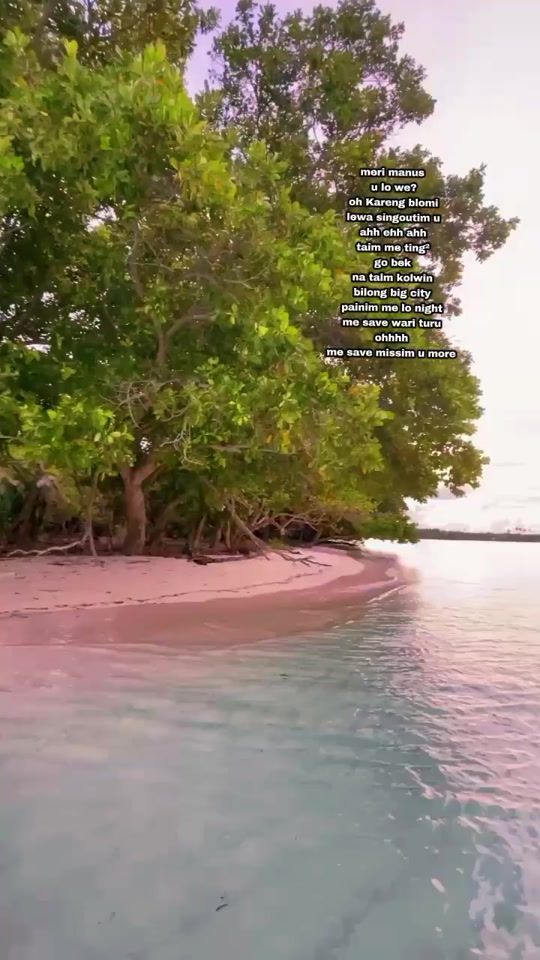 TikTok video thumbnail by wenwen.019