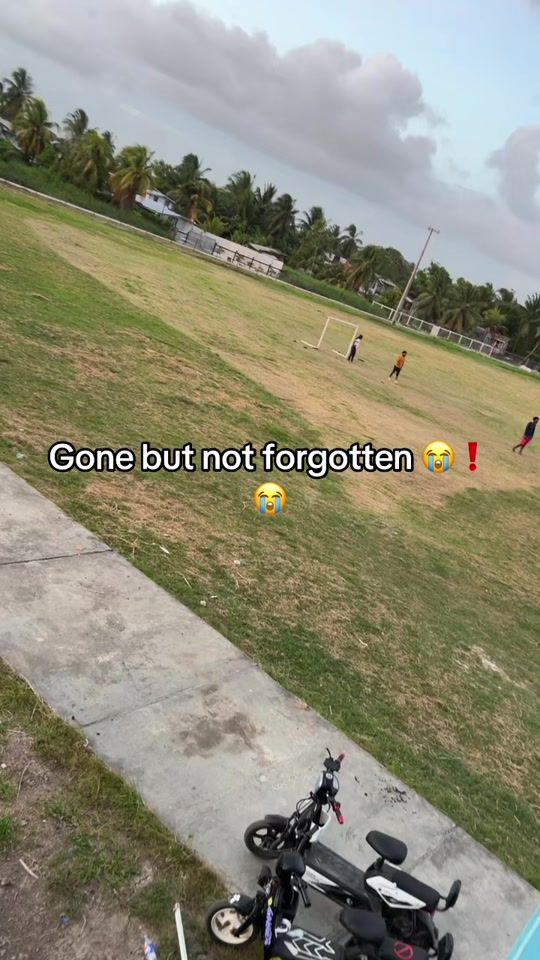 TikTok video thumbnail by northking592