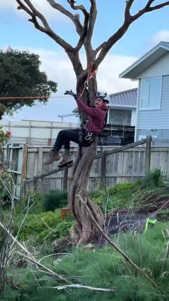 TikTok video thumbnail by ropeable_nz