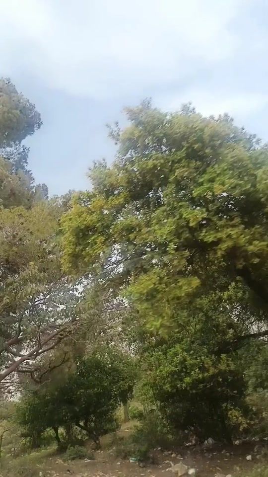 TikTok video thumbnail by refad.m