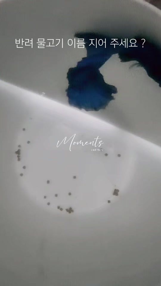 TikTok video thumbnail by ..drum.tiger
