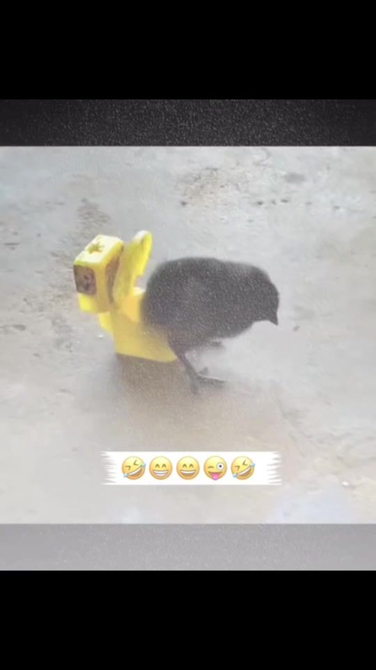TikTok video thumbnail by ayoow.husen3