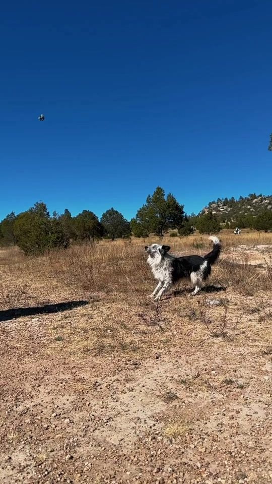 TikTok video thumbnail by jorgeemmanueloficial