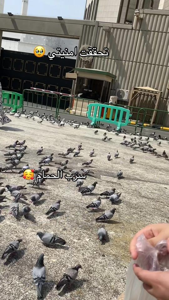 TikTok video thumbnail by fatimahnt