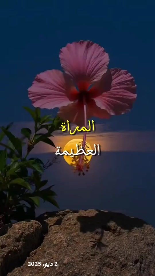 TikTok video thumbnail by rourouch976