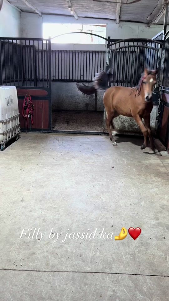 TikTok video thumbnail by barboorstud