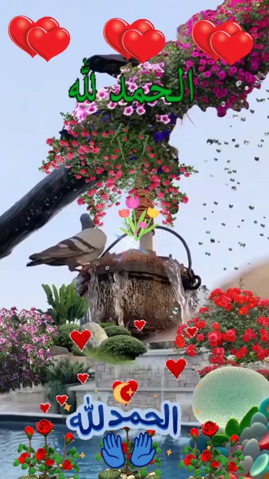 TikTok video thumbnail by amina.2324