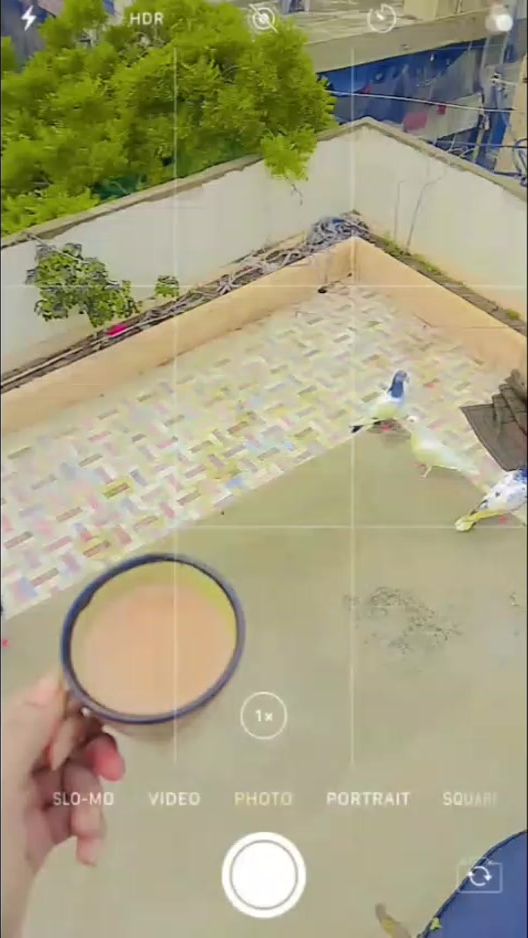 TikTok video thumbnail by jhangir8084
