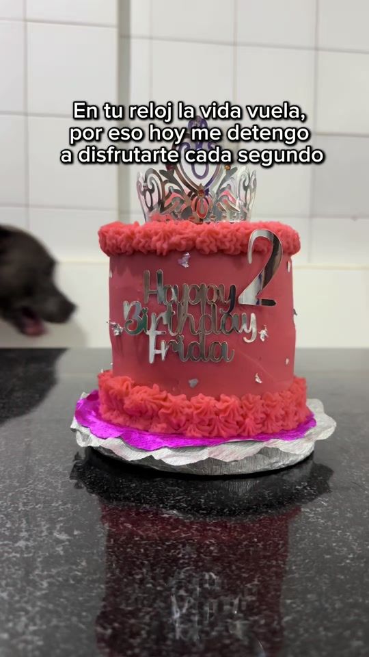 TikTok video thumbnail by stephfatone