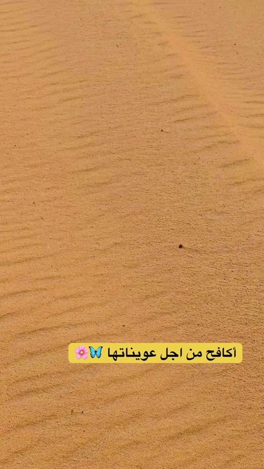 TikTok video thumbnail by .9091914