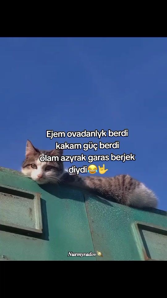 TikTok video thumbnail by merdan_277