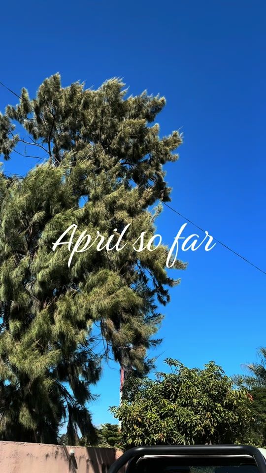 TikTok video thumbnail by https.zelda