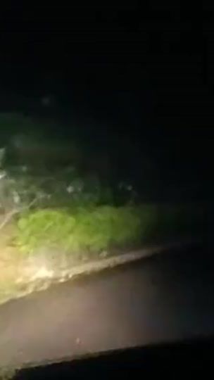 TikTok video thumbnail by thanulovesihdu
