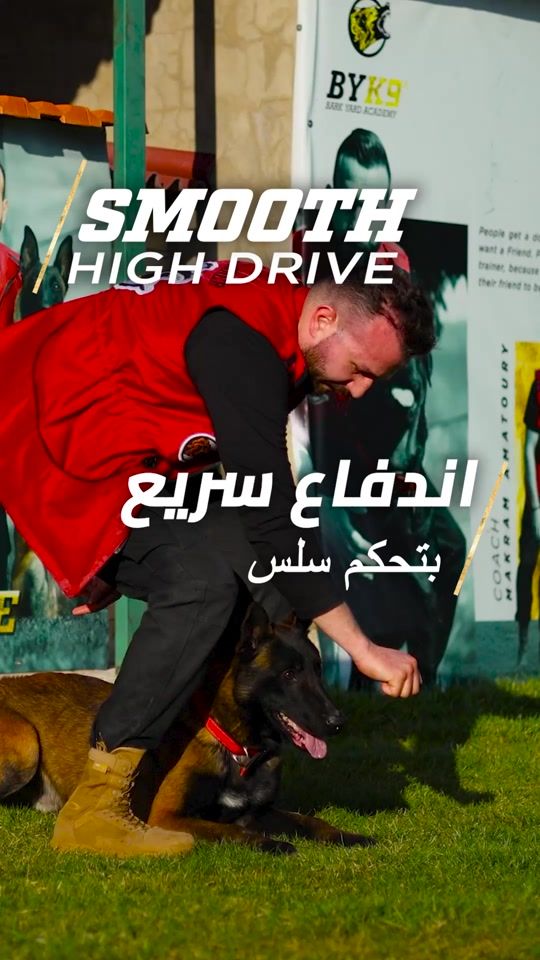 TikTok video thumbnail by barkyardacademy