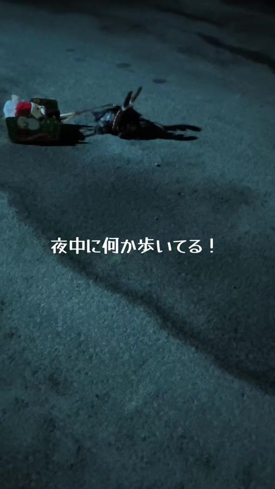 TikTok video thumbnail by kame_raure