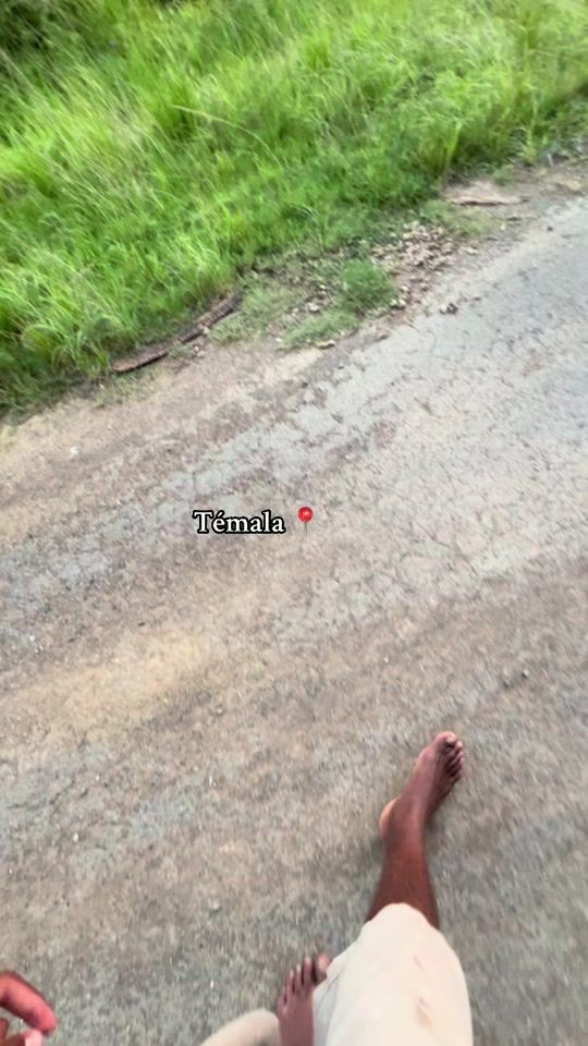 TikTok video thumbnail by vivalnord