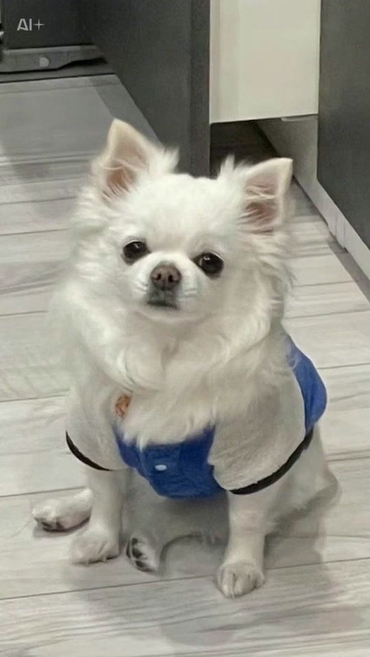 TikTok video thumbnail by aikencony